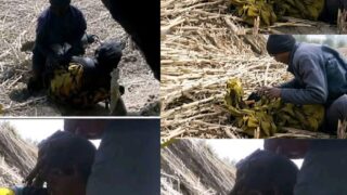 Viral Bandit Sextape Nigeria – Shocking Naija Armed Robber Sex Video with Kidnapped Victims