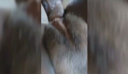 Thick Naija sextape She finally opened up for me